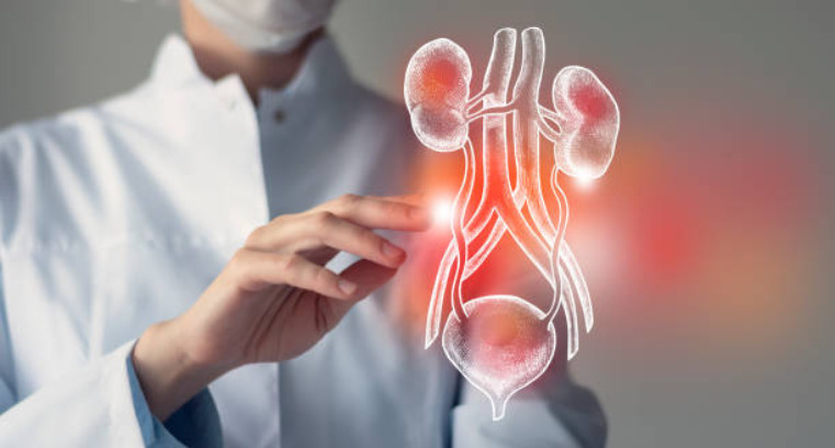 The Role of Female Urologists in Women’s Healthcare: