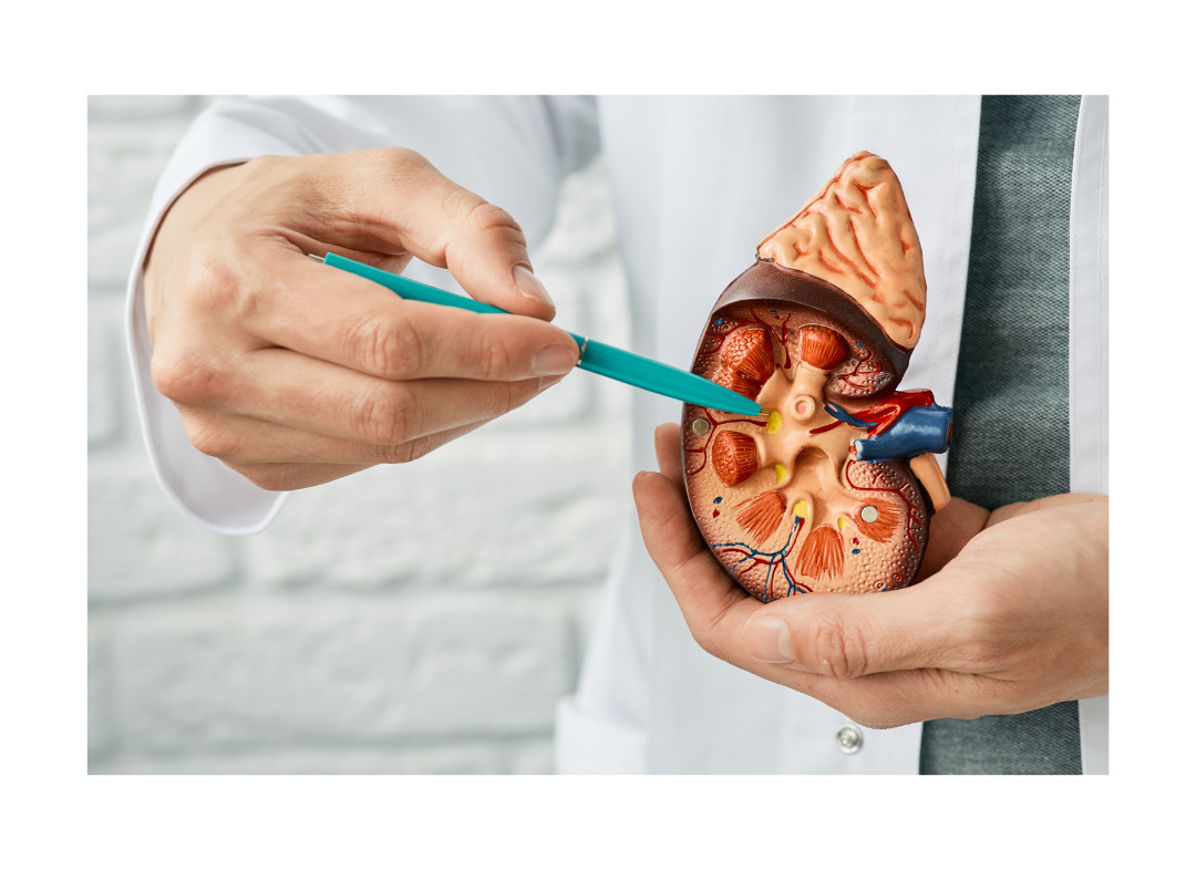 Urogynecology vs Urology – What’s The Difference?