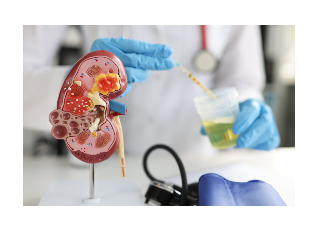 The Roles of Specialists in Urinary Health