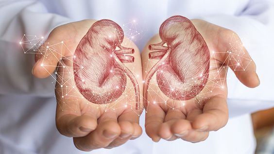 What Is Kidney Cancer?